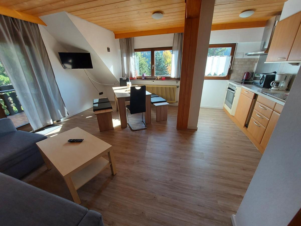 Haus Heidelberg Apartment Feldberg  Cameră foto