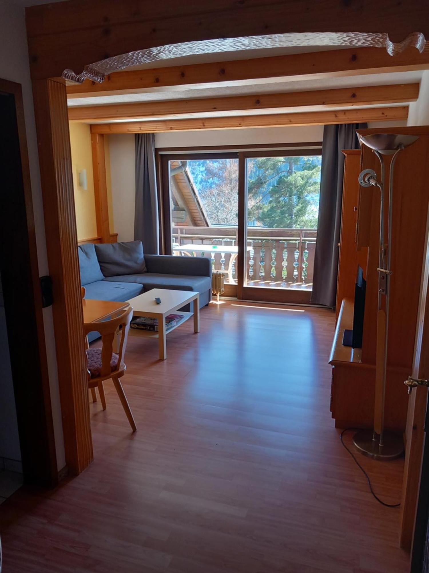 Haus Heidelberg Apartment Feldberg  Cameră foto